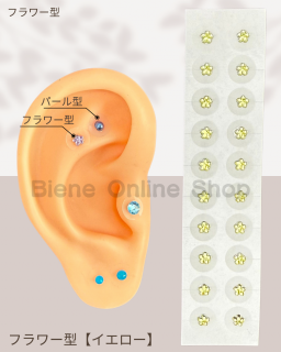 Ĥܥ奨꡼20γ<br>ե