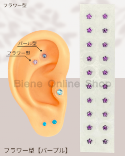 Ĥܥ奨꡼20γ<br>եѡץ