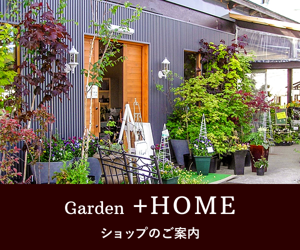 Garden +HOME