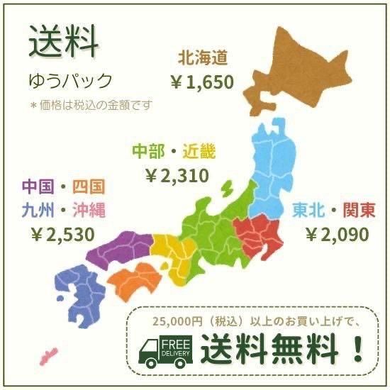 宿根草］キミキフーガ シンプレックス 'ブラックネグリジェ