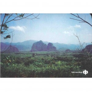 Dave Phillips / Field Recordings (CD)