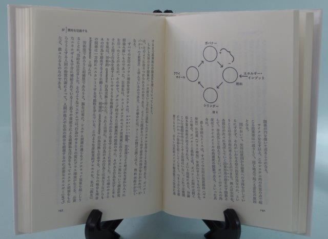 精神と自然 : 生きた世界の認識論 - 映詩音