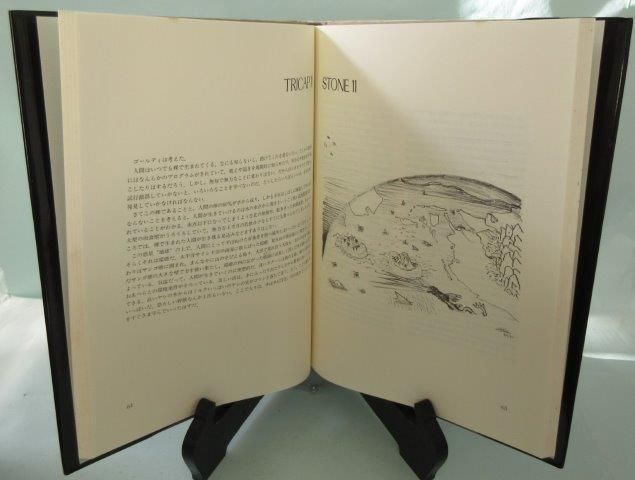 バックミンスター・フラー テトラスクロール - 映詩音