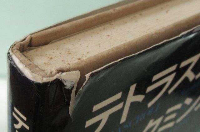 バックミンスター・フラー テトラスクロール - 映詩音