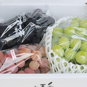 楽天市場】無洗米 30kg（総重量（米/穀物）30.0 ～ 39.9kg）の通販