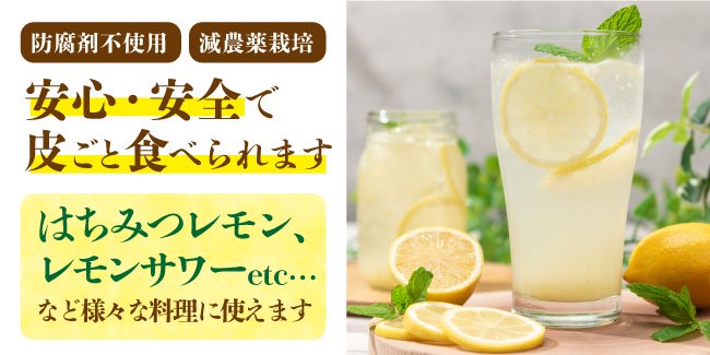 熊本レモン　国産　貴重　写真