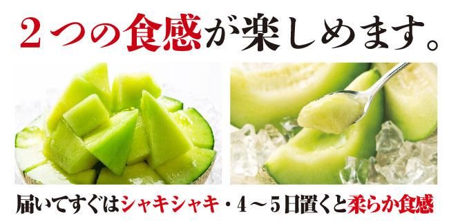 送料無料】肥後グリーンメロン 2玉入 - 安全で美味しいものに
