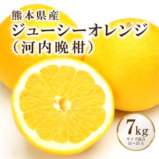 【送料無料】溢れる果汁！ぷるぷるな果肉！ジューシーオレンジ(河内晩柑)　７kg