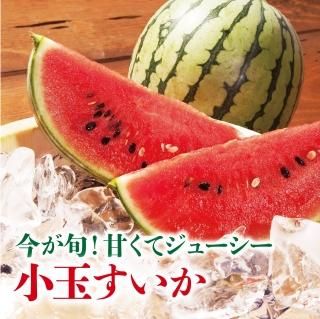5ܺ缡в١۷ܻ̤2ʥ