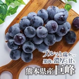 ڣܺ缡в١γܸʥء