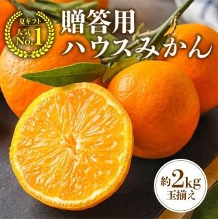 7ܡ缡ȯ۲Ƥ̣臘Ťʥϥߤ2kg£ѡʥء