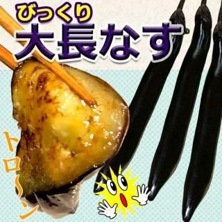 某番組でも紹介された びっくり 大長 なす 安全で美味しいものにこだわった 熊本の専門店 果宝堂 某番組でも紹介された びっくり 大長 なす 安全で美味しいものにこだわった 熊本の専門店 果宝堂