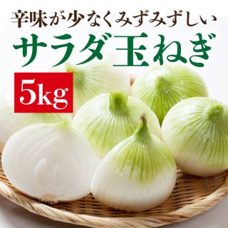 サラダ玉ねぎ　5kg【2箱以上購入で送料無料!】