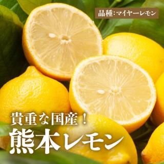 防腐剤不使用!皮まで安心して食べれる国産(熊本県産)レモンです♪