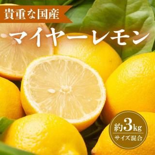 ̵۷ܥ (ޥ䡼)3kg硡