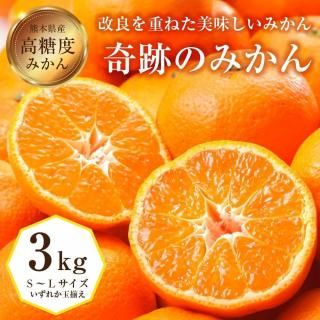 ڣܡ缡в١Ω פΤߤ 3kg ̵ 