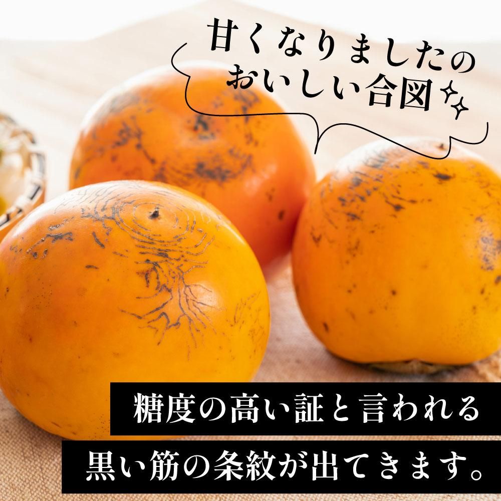 熊本県産 柿の王様!!太秋柿の販売が開始になりました♪