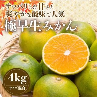 <img class='new_mark_img1' src='https://img.shop-pro.jp/img/new/icons14.gif' style='border:none;display:inline;margin:0px;padding:0px;width:auto;' />̵۶ߤ4kg