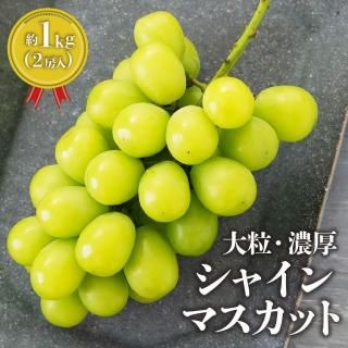 ڣܺ缡в١ۥ㥤ޥåȡ˼ʥء