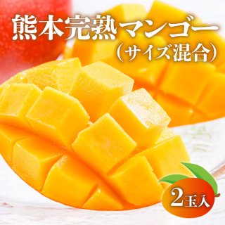 【送料無料】熊本完熟マンゴー（サイズ混合）（クール便）