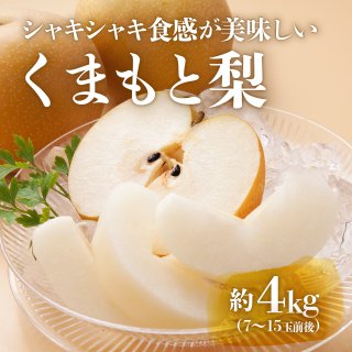 ڣܡ缡Ϥۤޤ4kg