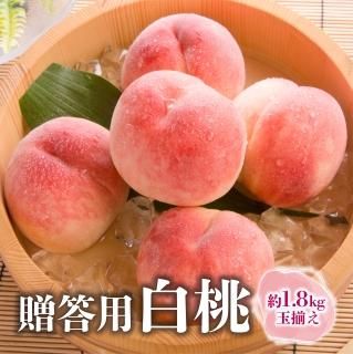 ڣܺ缡в١£ ʶ·ˡʥء