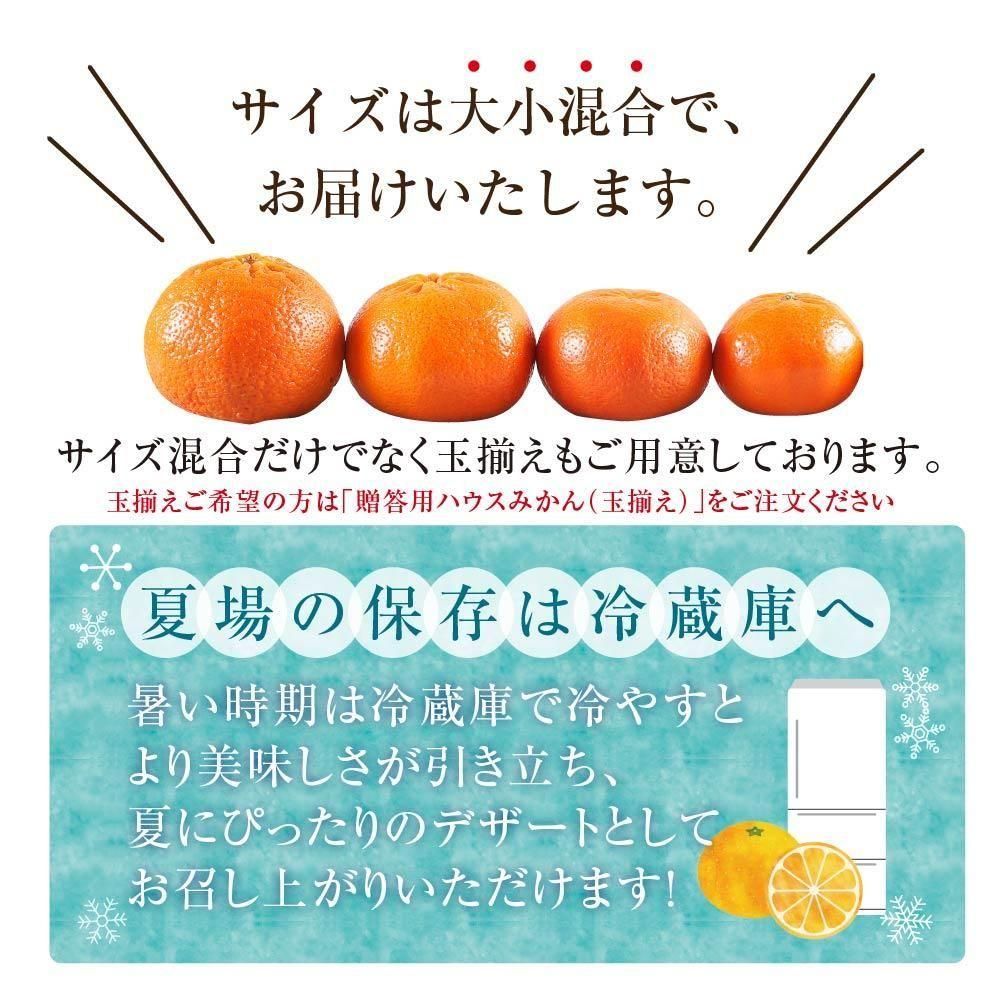 酸味と甘味のバランスが絶妙なハウスみかん【送料無料】 - 安全
