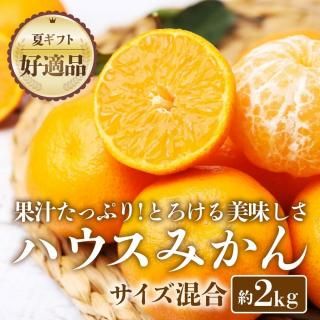 7ܡ缡в١ۥϥߤ2kgʥ硦ء