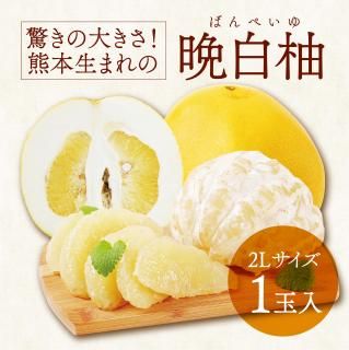 ̵12ܡ缡в١ ͮ(Фڤ) 2L(1) 