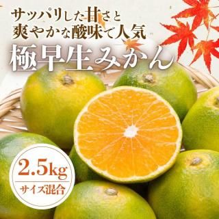 ̵۶ߤ2.5kg
