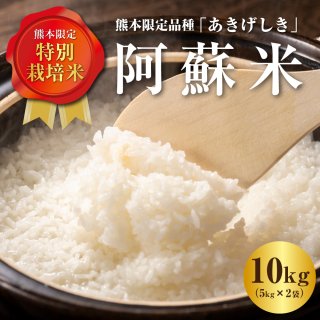 もっちり美味しい 「阿蘇米」 熊本産 お米 10kg （5kg×２ 合計10kg）　