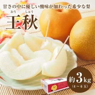 ̵12ܺ缡в١  3kg (46) 