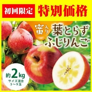 ڽ2Ȣʾ̵ դȤ餺դ  2kg 12ܽ缡в١