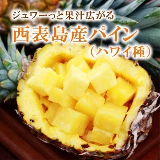 【送料無料】完熟！西表島産パイン（ハワイ種）2.5kg