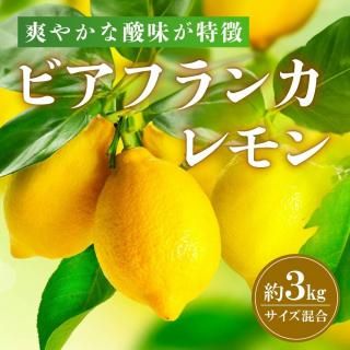 ̵۷ܥʥӥե󥫡3kg