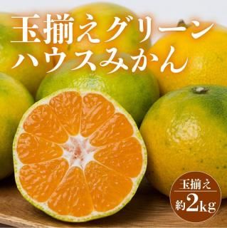 ڽ缡ȯ۲Ƥ̣臘Ťʥ꡼ϥߤ2kg£ѡʥء