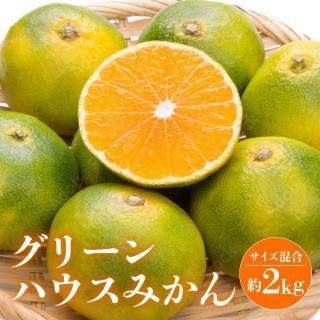 ڽ缡в١ۥ꡼ϥߤ2kgʥ硦ء