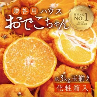 ̵ܺ缡в١£ѥϥǤ3ʲȢ