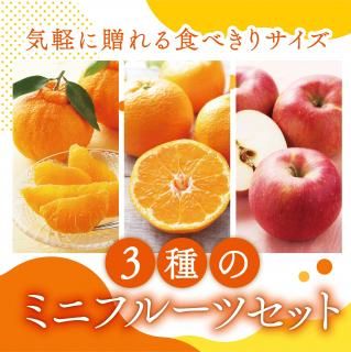̵11ܺ缡в١ۥߥ˥ե롼ĥåȡʲȢ