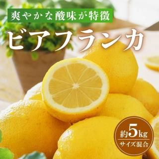 ̵۷ܥʥӥե󥫡5kg