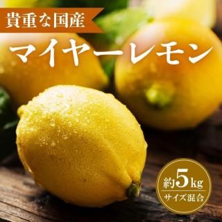 ̵۷ܥ (ޥ䡼)5kg硡