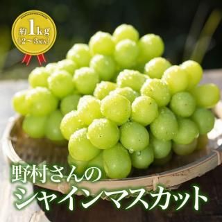 ̵ۡ¼Υ㥤ޥåȣԡ˼ʥء