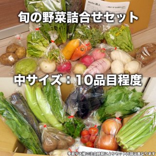 【中サイズ】 旬の野菜10品目程度詰合せ