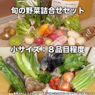 【小サイズ】お試し　旬の野菜詰合せセット