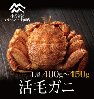 北海道産活毛ガニ400〜450g×1尾