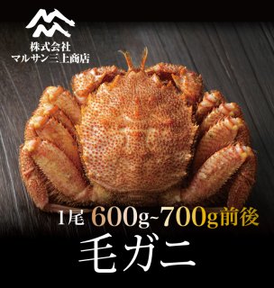 北海道産活毛ガニ600~700g×1尾