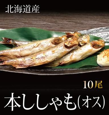 北海道産 本ししゃも オス 10尾 株式会社マルサン三上商店 北海道産 本ししゃも オス 10尾 株式会社マルサン三上商店