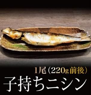һ˥220g1