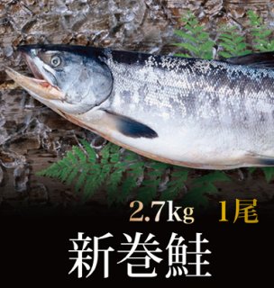 【新巻鮭2.7kg×1尾】