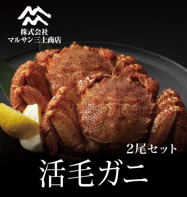 活毛ガニ460g前後2尾 セット- 株式会社マルサン三上商店